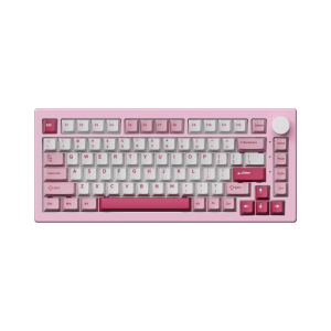 Bàn phím cơ gaming AKKO 5075 V3 Prunus Lannesiana | Không dây, 75%, Akko V3 Piano Switch