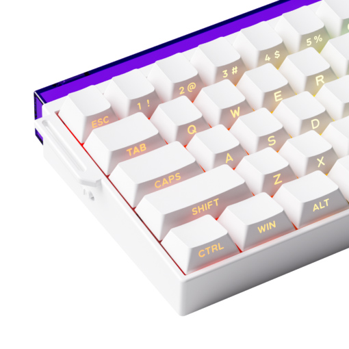 Bàn Phím Cơ Không Dây AKKO Veekos Shine60 SP White Flash Magnetic Switch (3 Mode) - Ảnh 5