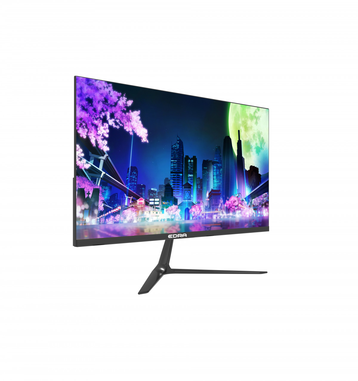 Màn hình Gaming E-Dra EGM24F120PV | 24 inch, Full HD, IPS, 120Hz, 1ms, phẳng - Ảnh 2